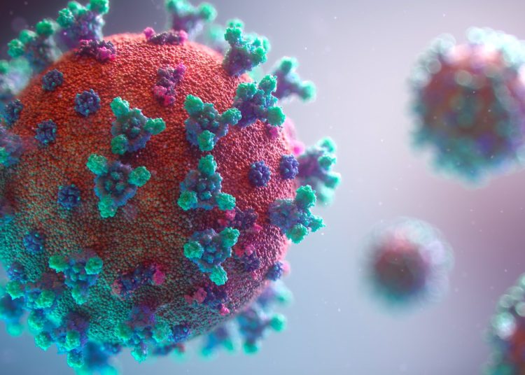 Crean en EE.UU. un potencial detector instantáneo de coronavirus