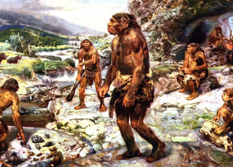 Los neandertales del Mediterráneo no se extinguieron por culpa del climático