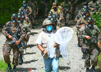 Gobierno amplía búsqueda de langosta para evitar ingreso de plaga que ha destruido cultivos en varios países