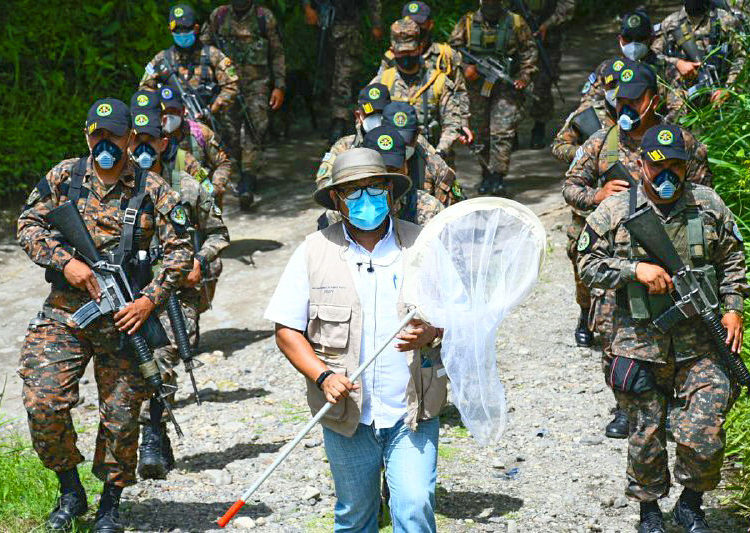Gobierno amplía búsqueda de langosta para evitar ingreso de plaga que ha destruido cultivos en varios países