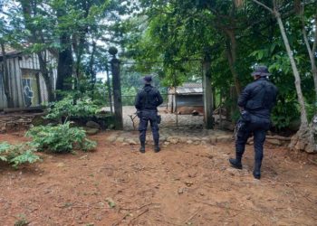 PNC realiza diversas capturas en cumplimiento al Plan Control Territorial en distintos puntos del país