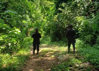 PNC captura a pandilleros acusados de diferentes delitos, desde extorsiones hasta asesinatos