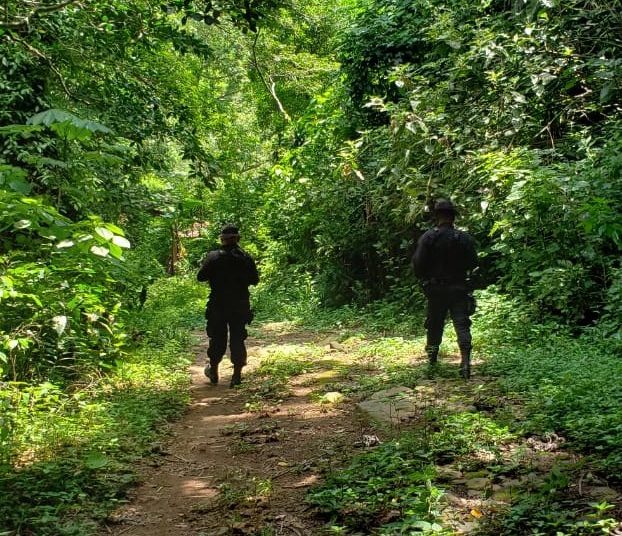 PNC captura a pandilleros acusados de diferentes delitos, desde extorsiones hasta asesinatos