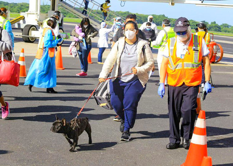 384 salvadoreños varados retornaron este martes al país, procedentes de Panamá y Europa