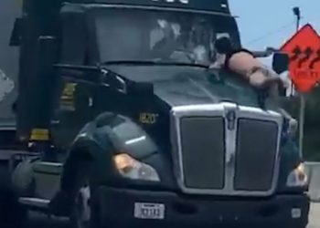(VIDEO) Un hombre se subió al capó de un camión en plena autopista y se mantuvo aferrado por 15 kilómetros