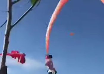 (VIDEOS) Una niña de 3 años, enganchada a una cometa, es levantada unos 10 metros sobre el suelo