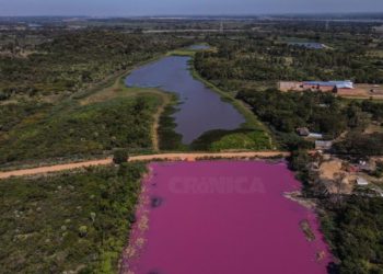 La mitad de una popular laguna paraguaya se tiñe de rojo por la contaminación y mueren miles de peces y aves