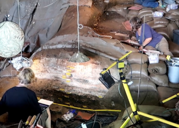 (VIDEO) Descubren ‘camas’ de 200.000 años de antigüedad, hechas de hierba y ceniza