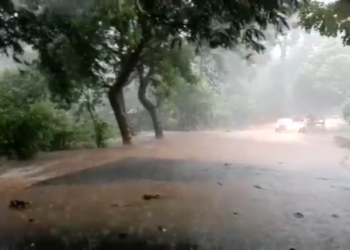 Para este domingo continúan las lluvias y tormentas de moderadas a fuertes