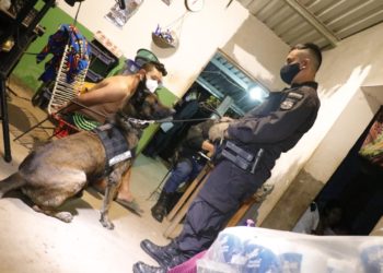 «Operación Guaymango» deja a 28 presuntos pandilleros detenidos