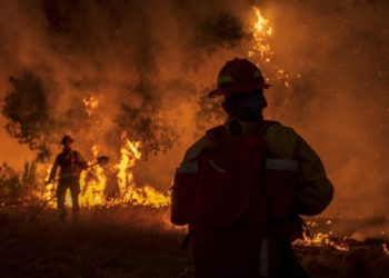 Ante los incendios forestales en California el gobernador pide ayuda internacional
