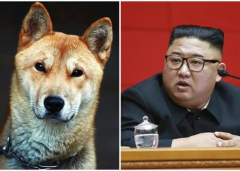 Kim Jong-un prohíbe los perros como mascota en Corea del Norte