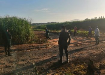 PNC redobla seguridad a los trabajadores en los cultivos de caña durante la temporada