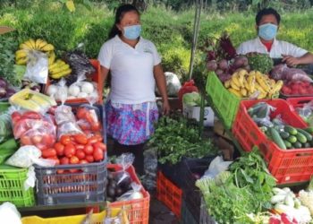 CENTA renovará agencias de investigación agrícola