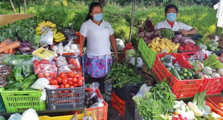 CENTA renovará agencias de investigación agrícola