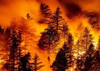 Incendios forestales en noroeste de EE.UU. calcinan grandes áreas en tres estados
