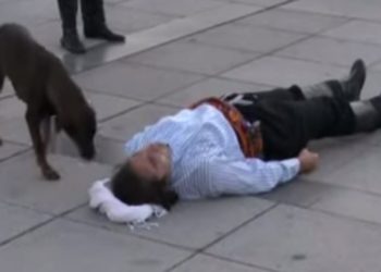 (VIDEO) Un perro callejero interrumpe una ‘performance’ y ayuda a un actor que fingía estar herido