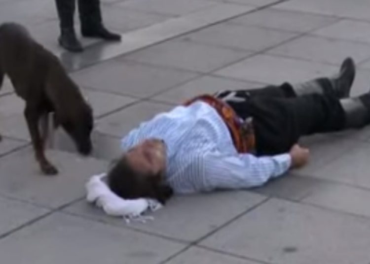 (VIDEO) Un perro callejero interrumpe una ‘performance’ y ayuda a un actor que fingía estar herido