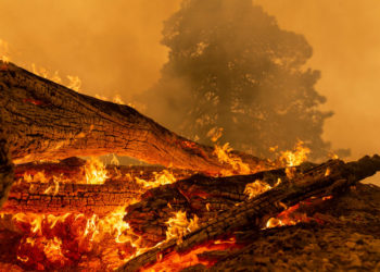 (VIDEO) Al menos 10 muertos por incendio forestal en California