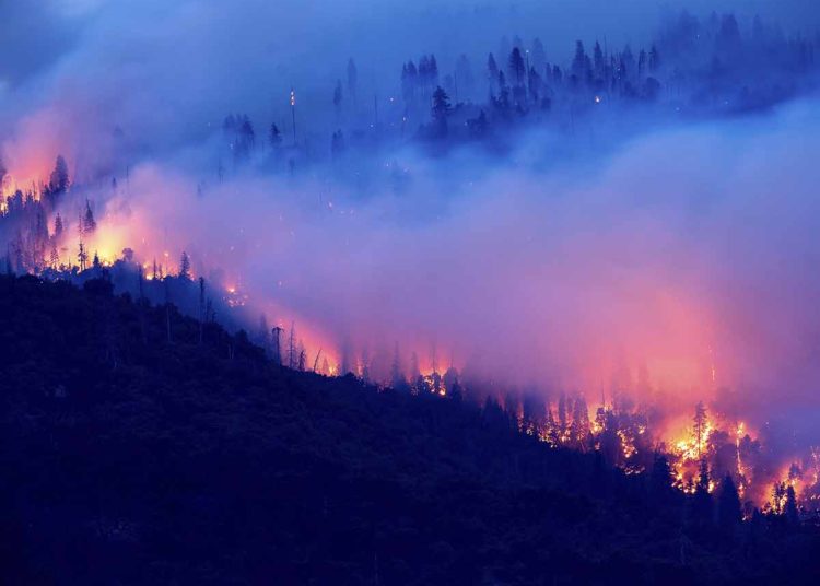 Al menos 30 muertos y varios desaparecidos por incendios en EE.UU.