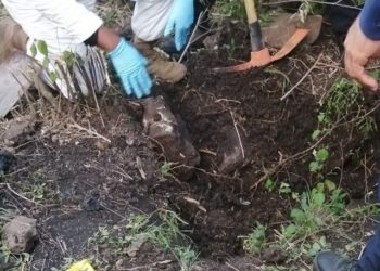 Hallan ocho fosas comunes con un centenar de cuerpos en Guanajuato