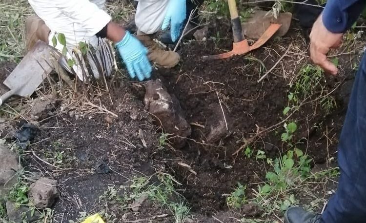 Hallan ocho fosas comunes con un centenar de cuerpos en Guanajuato