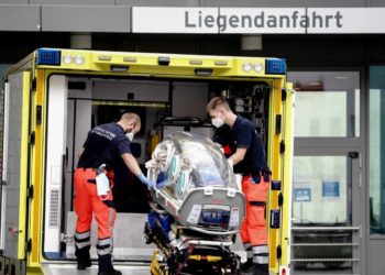 Novichok: mil perros muertos y la historia del gas nervioso para envenenar al principal crítico de Putin