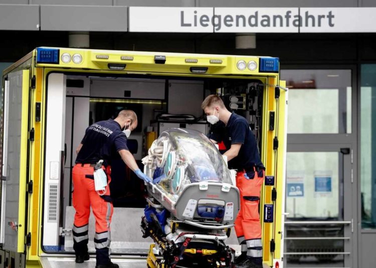 Novichok: mil perros muertos y la historia del gas nervioso para envenenar al principal crítico de Putin