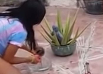 (VIDEO) Un hombre graba desde el patio de su casa a vecina tras hacer brujería