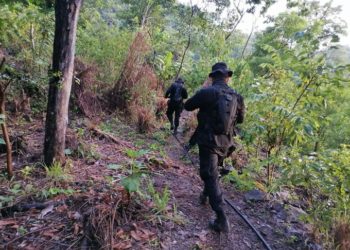 102 municipios registran reducción de homicidios, afirma gobierno