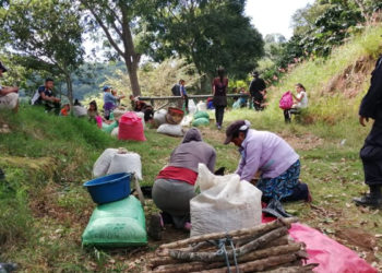 Hacienda envía solicitud a Asamblea para obtener fondos para la caficultura