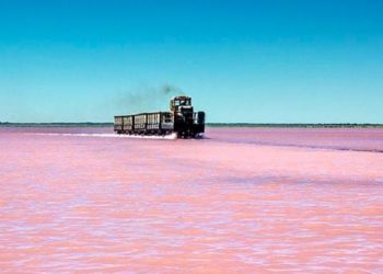 (VIDEO) Un impresionante lago rosado en Siberia a vista desde un dron