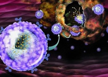 Desarrollan nanopartículas como «caballos de Troya» para matar células cancerosas sin usar medicamentos