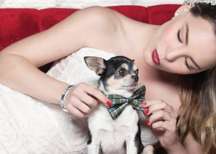 Belinda llora la muerte de Gizmo, el chihuahua que la acompañó por 13 años