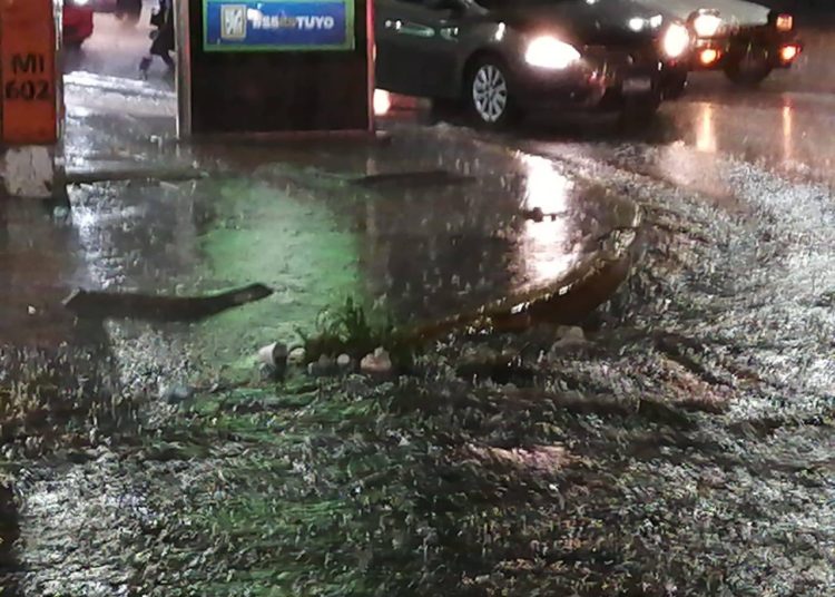 Mala recolección de la basura de alcaldía de San Salvador provocó inundaciones en la capital