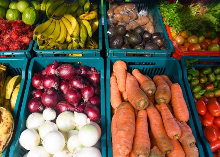 El Salvador espera una cosecha de 25.2 millones de quintales de granos básicos en 2021