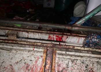 Presidente Bukele: «La PNC ya está en búsqueda de los responsables y caerá todo el peso de la ley sobre ellos»