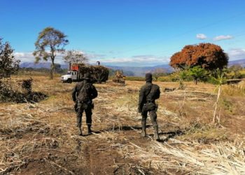PNC continúa patrullajes en zonas cañeras como parte del Plan Control Territorial