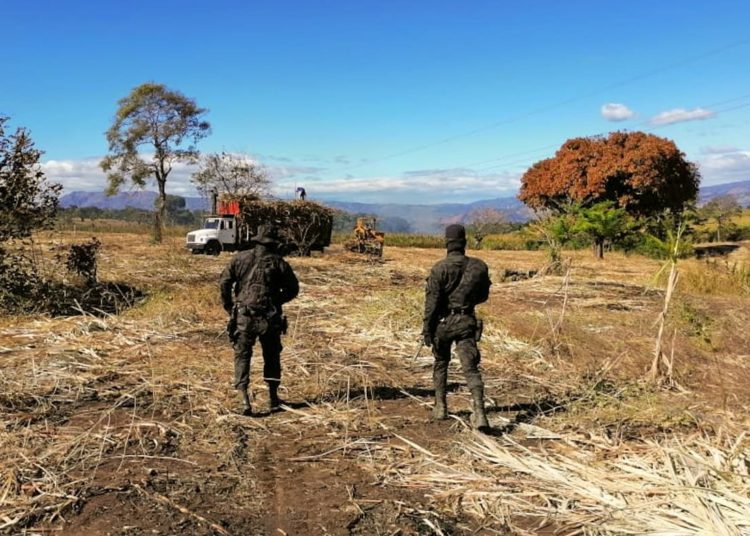 PNC continúa patrullajes en zonas cañeras como parte del Plan Control Territorial