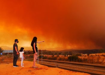 Confirman que fue intencional el incendio forestal que avanza sin control y ya ha consumido más de 2 mil hectáreas en Chile
