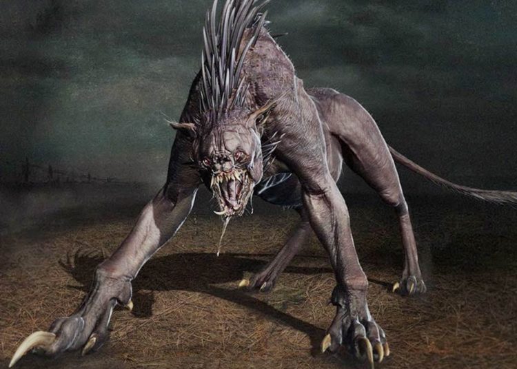 Alarma en el norte de Chile por una enigmática criatura que ataca como el mítico “chupacabras” y que ya mató a más de 50 animales