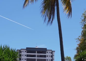 Cielo despejado, ambiente cálido y viento con velocidades entre 10 a 20 kilómetros por hora para este domingo
