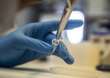 Cuba desarrolla cuatro tipos de vacuna contra el covid-19 y aspira a una vacunación masiva en el primer trimestre de este año