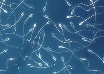 Nuevo estudio sugiere que el covid-19 podría alterar la calidad del esperma