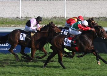 Un hombre ingresó en medio de una carrera de caballos y se salvó de milagro