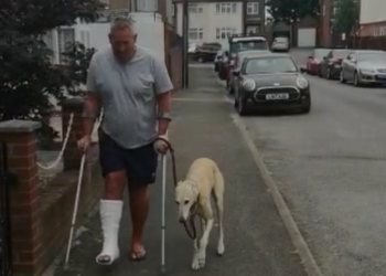 Gasta 400 dólares en hacer examinar la cojera de su perro, solo para descubrir que el animal lo imitaba