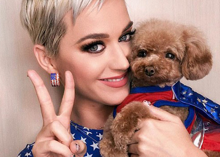 Katy Perry intenta que su perro sea vegano como ella y recibe fuertes críticas