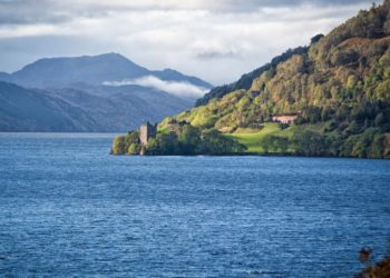 Profesor de EE.UU. sugiere que el monstruo del lago Ness puede ser una antigua tortuga marina