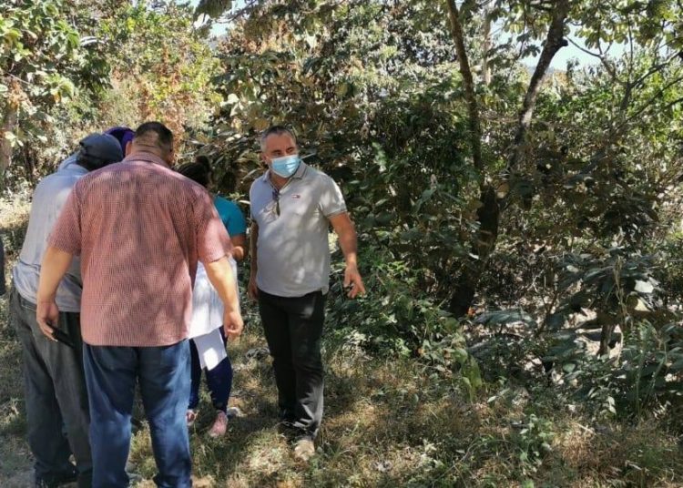 Denuncian a alcalde de San Rafael por entregar lotes sin ninguna documentación