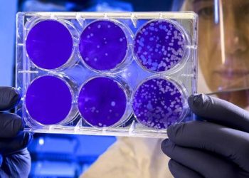 Cómo se propaga la nueva cepa del coronavirus